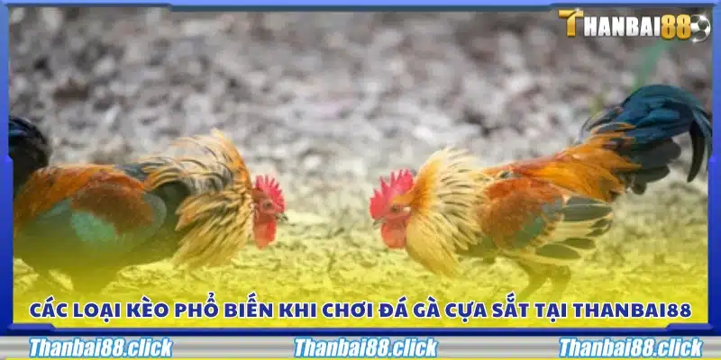 Các dạng kèo được nhiều người chơi lựa chọn