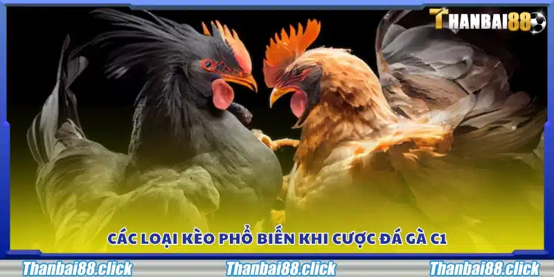 Những hình thức kèo thường gặp khi tham gia cá cược đá gà C1