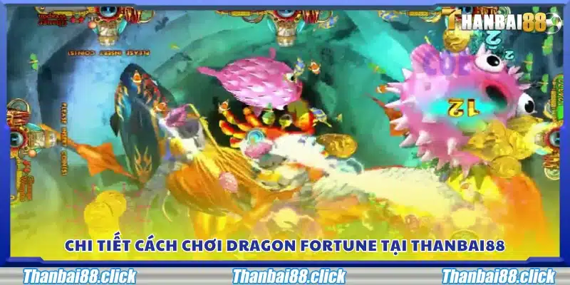 Cách chơi từng bước trong trò chơi Dragon Fortune
