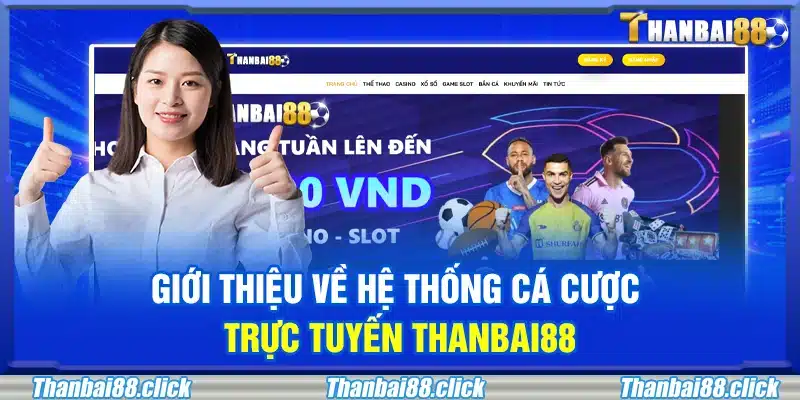 Giới thiệu chung về hệ thống cá cược Thanbai88