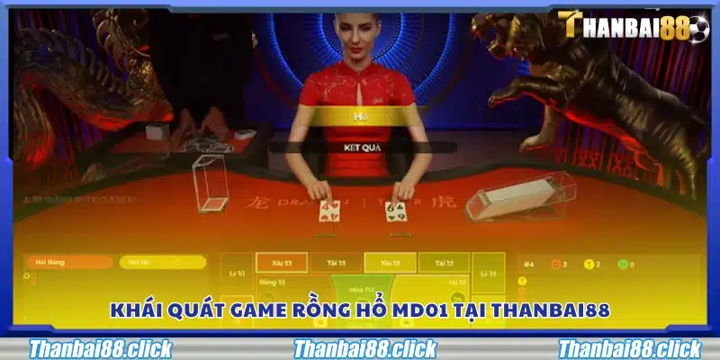 Giới thiệu tổng quan về Rồng Hổ MD01 trên Thanbai88