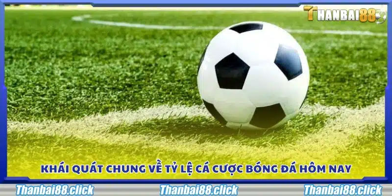 Tổng quan thông tin tỷ lệ cá cược bóng đá hôm nay