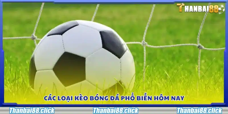 Danh sách các hình thức kèo bóng đá được ưa chuộng