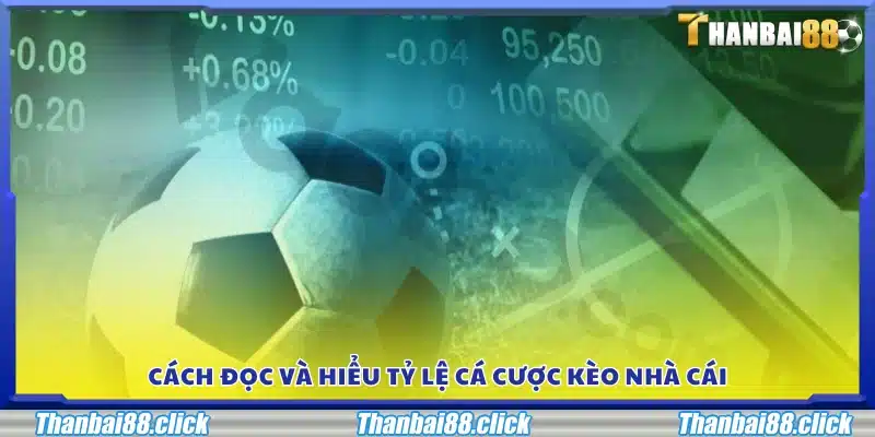 Phương pháp giải thích và phân tích tỷ lệ kèo